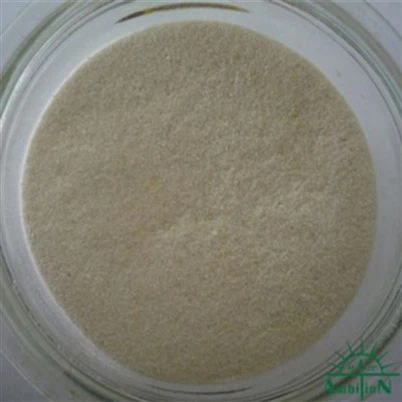 Xanthan Gum